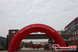 瑞冬集團(tuán)成功舉辦業(yè)務(wù)經(jīng)理交流會(huì)，以拳頭產(chǎn)品與核心研制能力引領(lǐng)行業(yè)新風(fēng)向