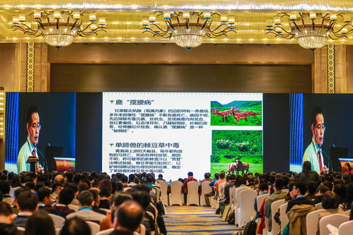 江西活動(dòng)策劃公司 專(zhuān)業(yè)承辦南昌企業(yè)年會(huì)、產(chǎn)品推介會(huì)及大型活動(dòng)組織策劃服務(wù)